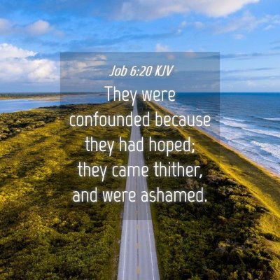 Picture 04 - Job 6:20 KJV - They were confounded because they had hoped; they - Bible Verse Picture
