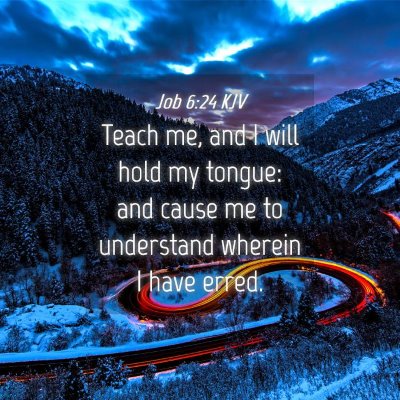 Picture 04 - Job 6:24 KJV - Teach me, and I will hold my tongue: and cause me - Bible Verse Picture