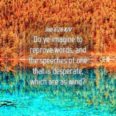 Picture 04 - Job 6:26 KJV - Do ye imagine to reprove words, and the speeches - Bible Verse Picture