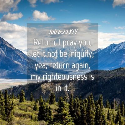 Picture 04 - Job 6:29 KJV - Return, I pray you, let it not be iniquity; yea, - Bible Verse Picture