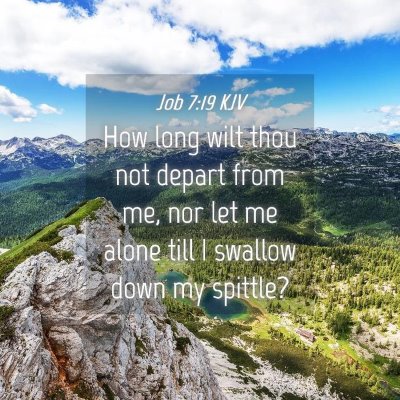 Picture 04 - Job 7:19 KJV - How long wilt thou not depart from me, nor let me - Bible Verse Picture