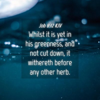 Picture 04 - Job 8:12 KJV - Whilst it is yet in his greenness, and not cut - Bible Verse Picture