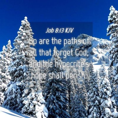Picture 04 - Job 8:13 KJV - So are the paths of all that forget God; and the - Bible Verse Picture