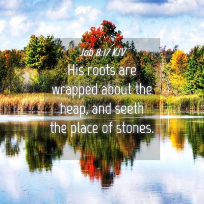 Picture 04 - Job 8:17 KJV - His roots are wrapped about the heap, and seeth - Bible Verse Picture