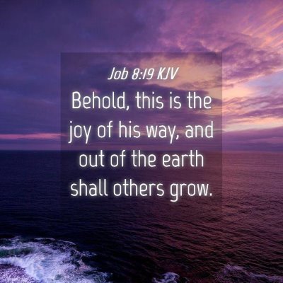 Picture 04 - Job 8:19 KJV - Behold, this is the joy of his way, and out of - Bible Verse Picture