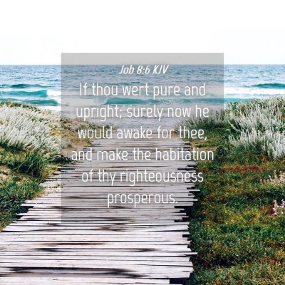 Picture 04 - Job 8:6 KJV - If thou wert pure and upright; surely now he - Bible Verse Picture