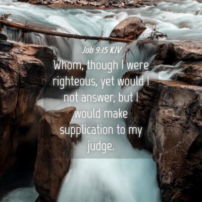 Picture 04 - Job 9:15 KJV - Whom, though I were righteous, yet would I not - Bible Verse Picture