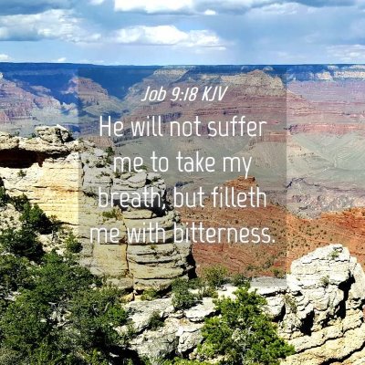 Picture 04 - Job 9:18 KJV - He will not suffer me to take my breath, but - Bible Verse Picture