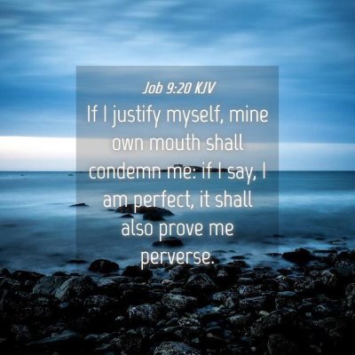 Picture 04 - Job 9:20 KJV - If I justify myself, mine own mouth shall condemn - Bible Verse Picture