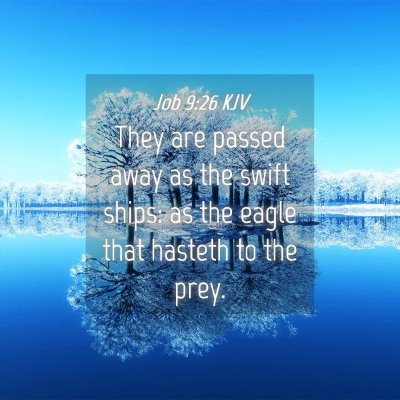 Picture 04 - Job 9:26 KJV - They are passed away as the swift ships: as the - Bible Verse Picture