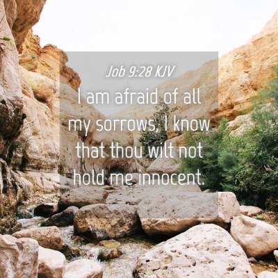 Picture 04 - Job 9:28 KJV - I am afraid of all my sorrows, I know that thou - Bible Verse Picture