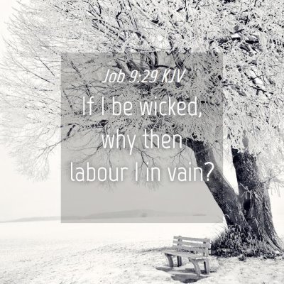 Picture 04 - Job 9:29 KJV - If I be wicked, why then labour I in - Bible Verse Picture