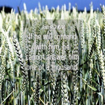 Picture 04 - Job 9:3 KJV - If he will contend with him, he cannot answer him - Bible Verse Picture