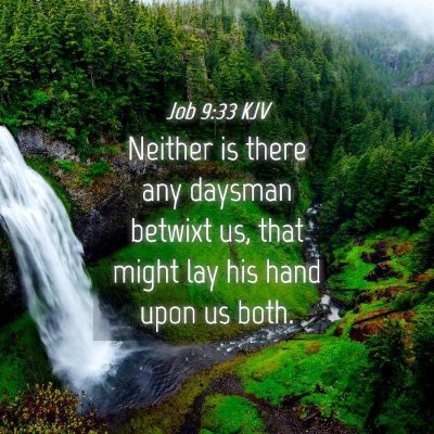 Picture 04 - Job 9:33 KJV - Neither is there any daysman betwixt us, that - Bible Verse Picture
