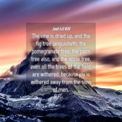 Picture 04 - Joel 1:12 KJV - The vine is dried up, and the fig tree - Bible Verse Picture