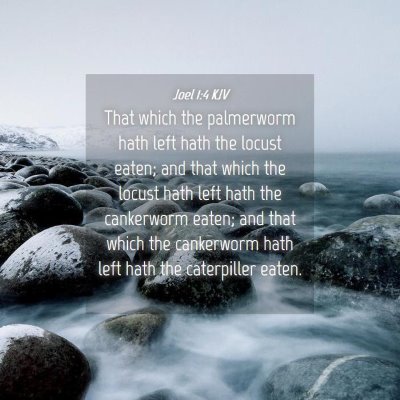 Picture 04 - Joel 1:4 KJV - That which the palmerworm hath left hath the - Bible Verse Picture