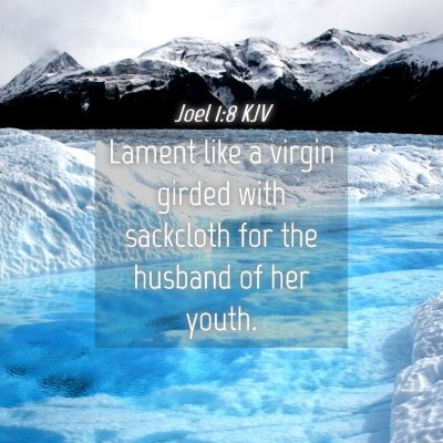 Picture 04 - Joel 1:8 KJV - Lament like a virgin girded with sackcloth for - Bible Verse Picture