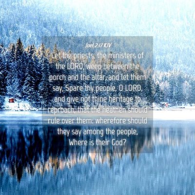 Picture 04 - Joel 2:17 KJV - Let the priests, the ministers of the LORD, weep - Bible Verse Picture
