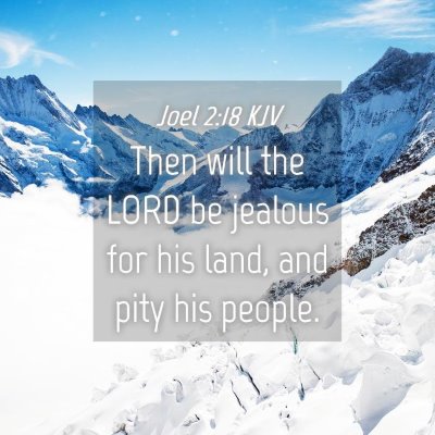 Picture 04 - Joel 2:18 KJV - Then will the LORD be jealous for his land, and - Bible Verse Picture