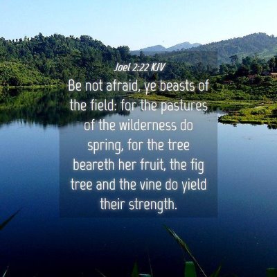 Picture 04 - Joel 2:22 KJV - Be not afraid, ye beasts of the field: for the - Bible Verse Picture