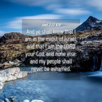 Picture 04 - Joel 2:27 KJV - And ye shall know that I am in the midst of - Bible Verse Picture