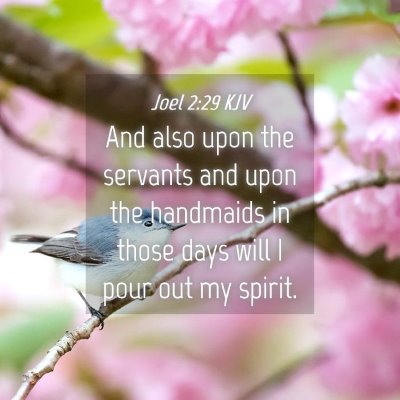 Picture 04 - Joel 2:29 KJV - And also upon the servants and upon the handmaids - Bible Verse Picture