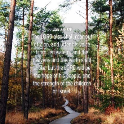 Picture 04 - Joel 3:16 KJV - The LORD also shall roar out of Zion, and utter - Bible Verse Picture