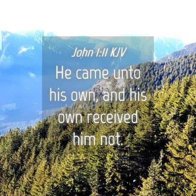 Picture 04 - John 1:11 KJV - He came unto his own, and his own received him - Bible Verse Picture