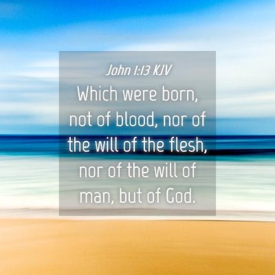 Picture 04 - John 1:13 KJV - Which were born, not of blood, nor of the will of - Bible Verse Picture