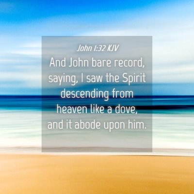 Picture 04 - John 1:32 KJV - And John bare record, saying, I saw the Spirit - Bible Verse Picture