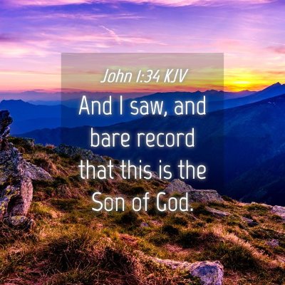 Picture 04 - John 1:34 KJV - And I saw, and bare record that this is the Son - Bible Verse Picture