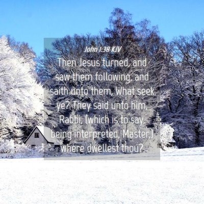 Picture 04 - John 1:38 KJV - Then Jesus turned, and saw them following, and - Bible Verse Picture