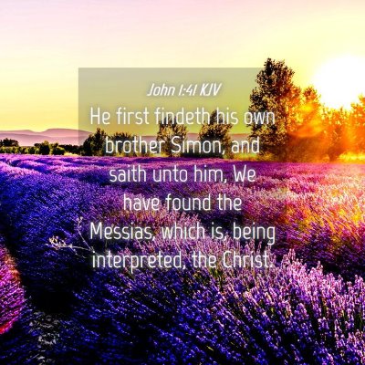 Picture 04 - John 1:41 KJV - He first findeth his own brother Simon, and saith - Bible Verse Picture