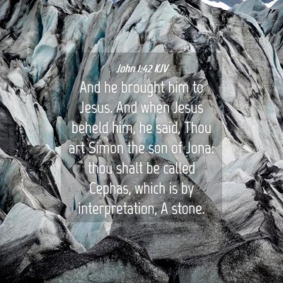 Picture 04 - John 1:42 KJV - And he brought him to Jesus. And when Jesus - Bible Verse Picture
