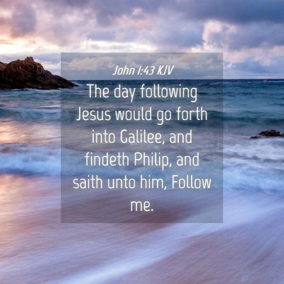 Picture 04 - John 1:43 KJV - The day following Jesus would go forth into - Bible Verse Picture
