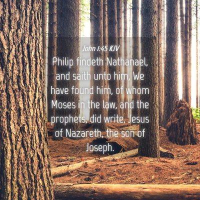 Picture 04 - John 1:45 KJV - Philip findeth Nathanael, and saith unto him, We - Bible Verse Picture