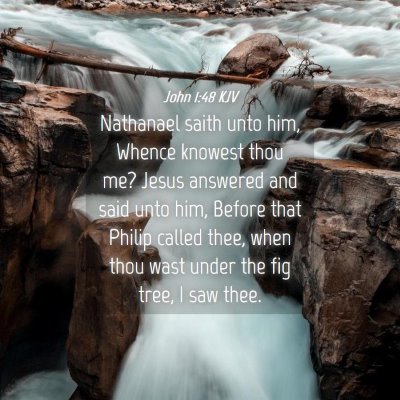 Picture 04 - John 1:48 KJV - Nathanael saith unto him, Whence knowest thou me? - Bible Verse Picture