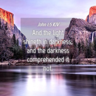 Picture 04 - John 1:5 KJV - And the light shineth in darkness; and the - Bible Verse Picture