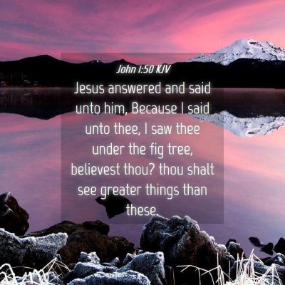 Picture 04 - John 1:50 KJV - Jesus answered and said unto him, Because I said - Bible Verse Picture