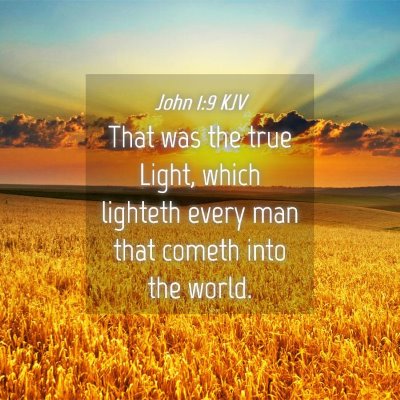 Picture 04 - John 1:9 KJV - That was the true Light, which lighteth every man - Bible Verse Picture