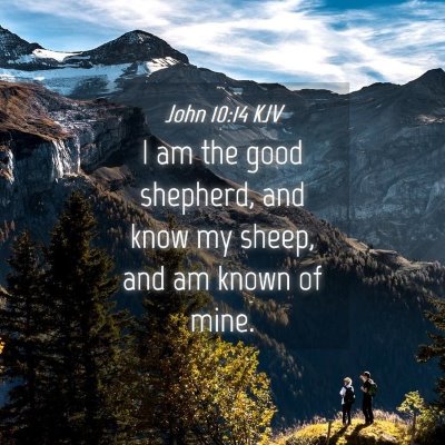 Picture 04 - John 10:14 KJV - I am the good shepherd, and know my sheep, and am - Bible Verse Picture