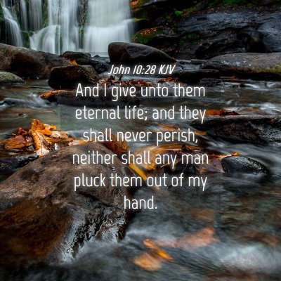 Picture 04 - John 10:28 KJV - And I give unto them eternal life; and they shall - Bible Verse Picture