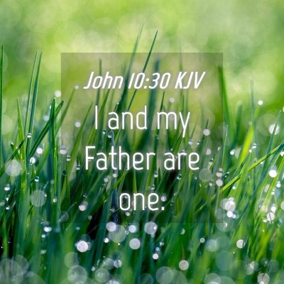 Picture 04 - John 10:30 KJV - I and my Father are - Bible Verse Picture