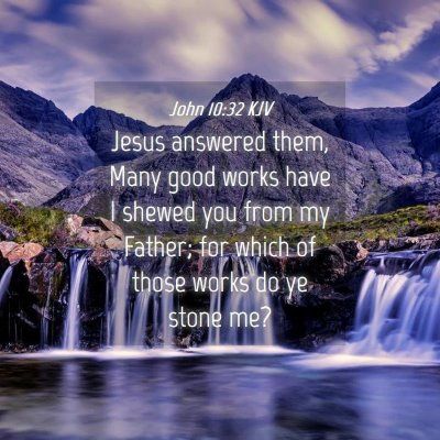 Picture 04 - John 10:32 KJV - Jesus answered them, Many good works have I - Bible Verse Picture