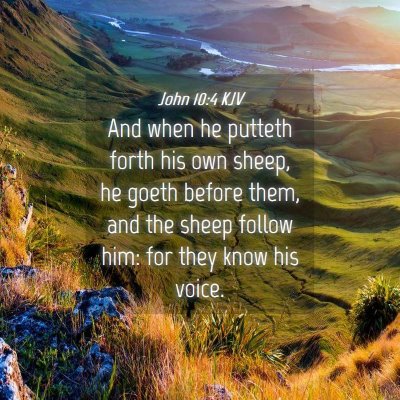 Picture 04 - John 10:4 KJV - And when he putteth forth his own sheep, he goeth - Bible Verse Picture