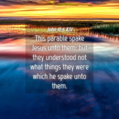 Picture 04 - John 10:6 KJV - This parable spake Jesus unto them: but they - Bible Verse Picture