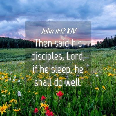 Picture 04 - John 11:12 KJV - Then said his disciples, Lord, if he sleep, he - Bible Verse Picture