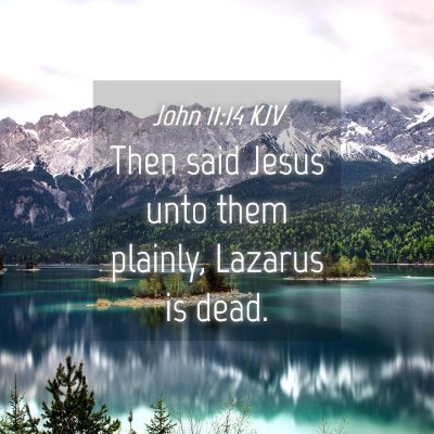 Picture 04 - John 11:14 KJV - Then said Jesus unto them plainly, Lazarus is - Bible Verse Picture