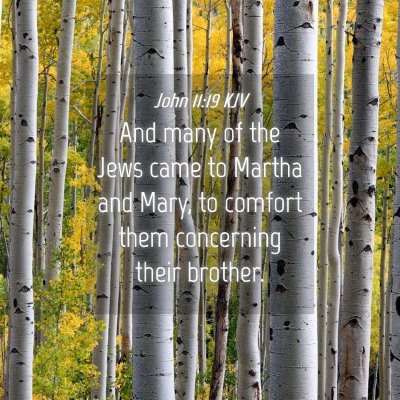 Picture 04 - John 11:19 KJV - And many of the Jews came to Martha and Mary, to - Bible Verse Picture