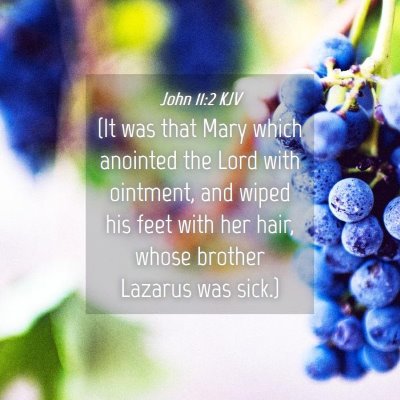 Picture 04 - John 11:2 KJV - (It was that Mary which anointed the Lord with - Bible Verse Picture